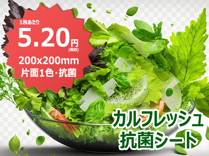 カルフレッシュOPP抗菌食品用片面１Cシート CLP-3 #30ｘ200ｘ200ｍｍｘ100枚